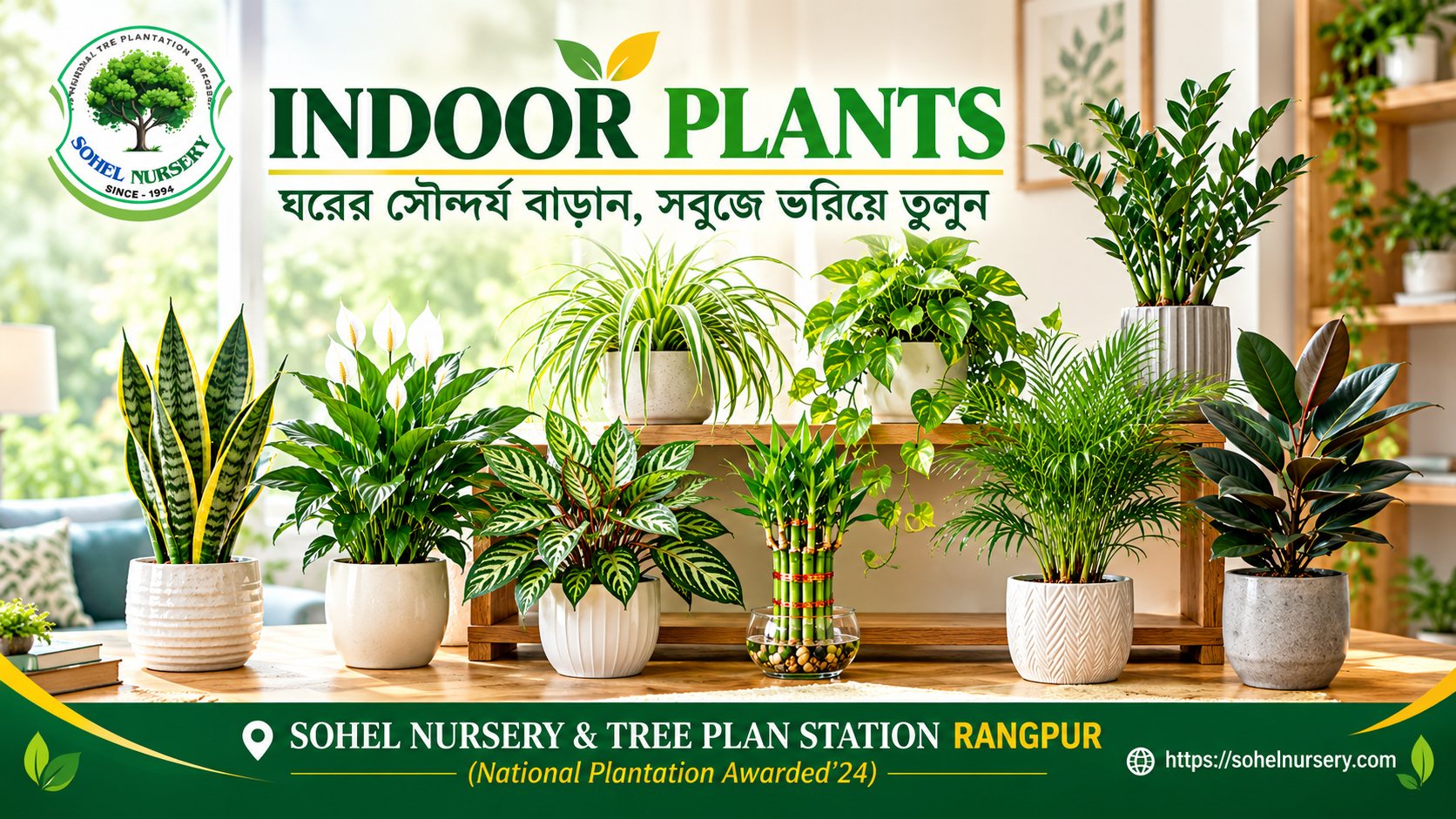ঘরের সৌন্দর্য বাড়াতে ৮টি জনপ্রিয় ইনডোর প্ল্যান্ট: পরিচর্যা, উপকারিতা ও সতর্কতা